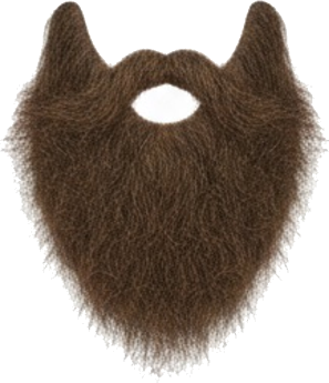 Fake Beard Brown Full Realistic