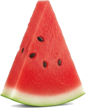 Small Toy Watermelon Slice