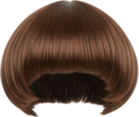 Bowl Cut Wig Short Brown Mushroom Hair