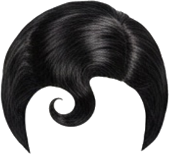 Short Black Wig with Front Curl