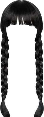 Black Braided Pigtails Wig with Bangs