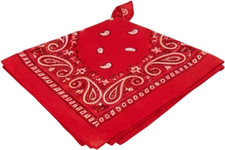 Red Bandana Neck Scarf